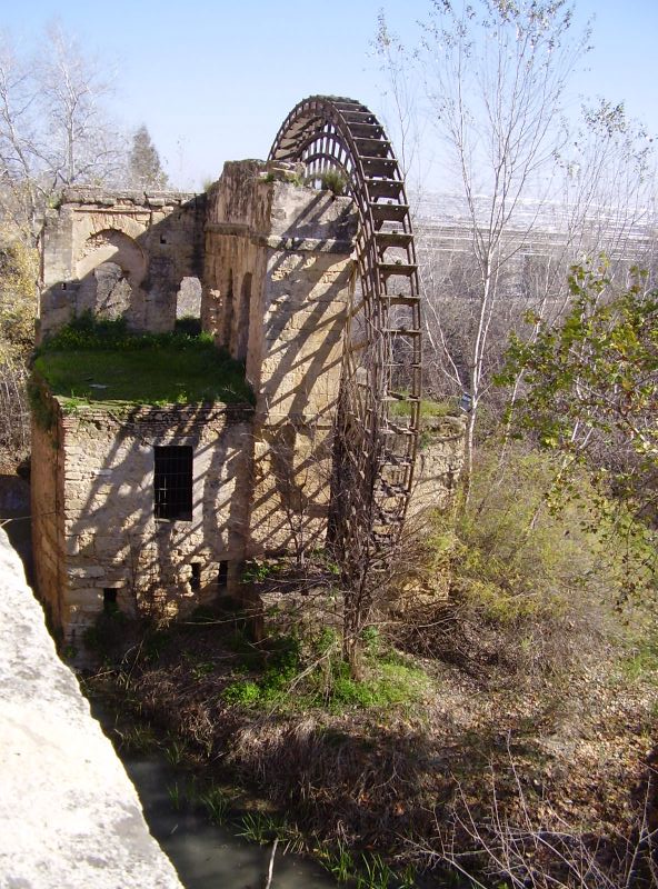 P2070102.JPG