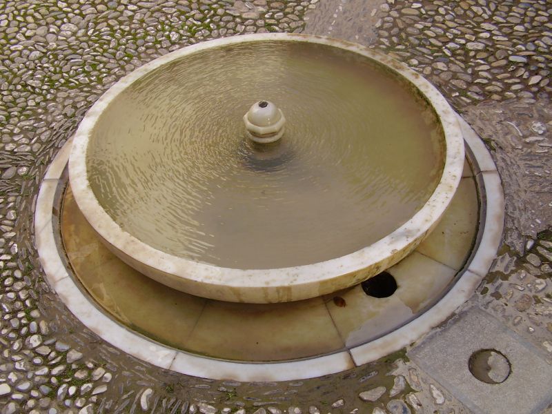 P2090272.JPG