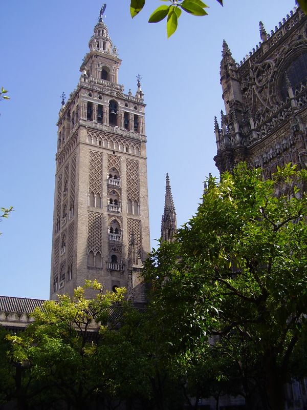P2080118.JPG