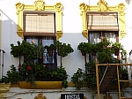P2070081.JPG