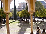 P2070096.JPG