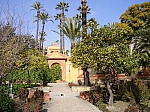 P2080103.JPG