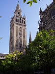P2080118.JPG