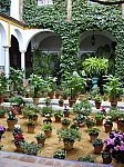 P2080143.JPG